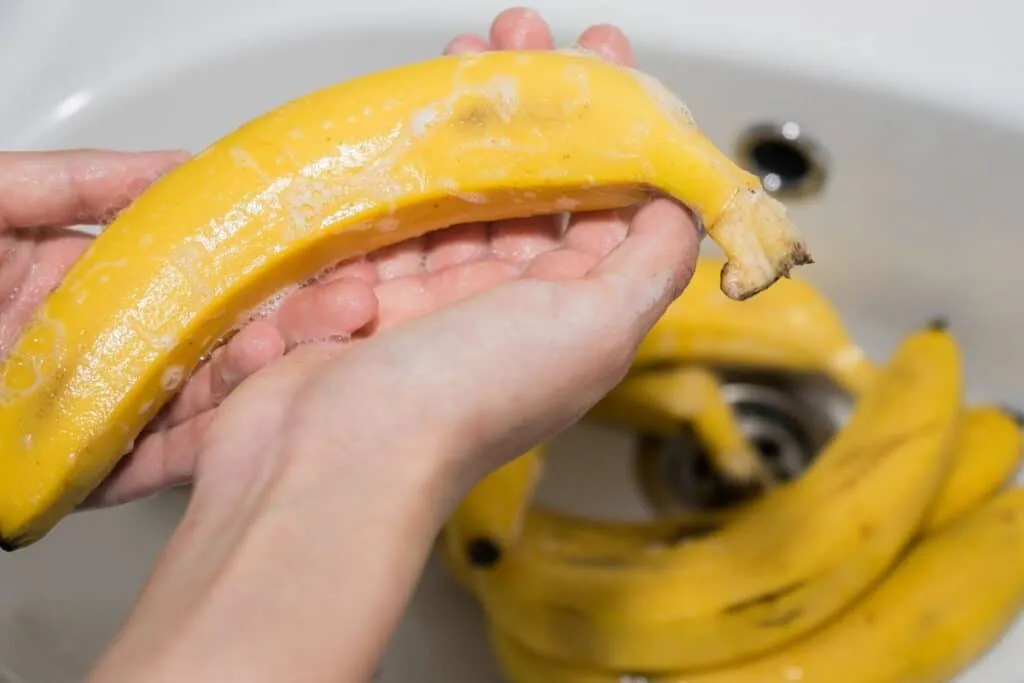 Ett enkelt knep för att bli av med fruktflugor