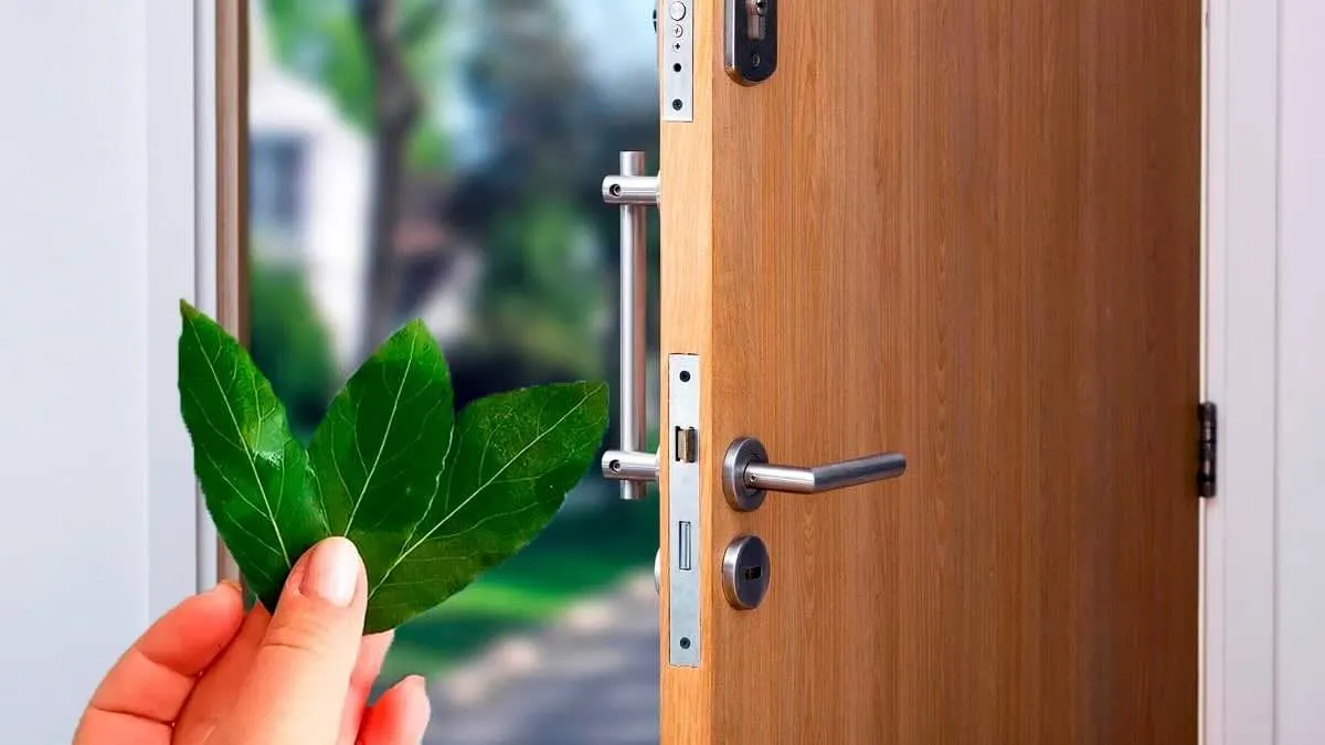 Lagerbladen vid ytterdörren: en tradition med djupa rötter