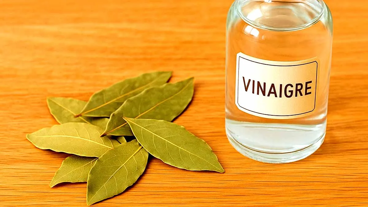 Naturligt insektskydd med lagerblad och vinäger
