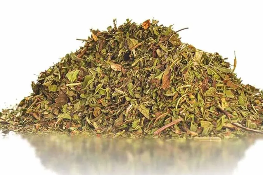 Oreganos lilla kraft: så kan den hjälpa din vardagliga hälsa