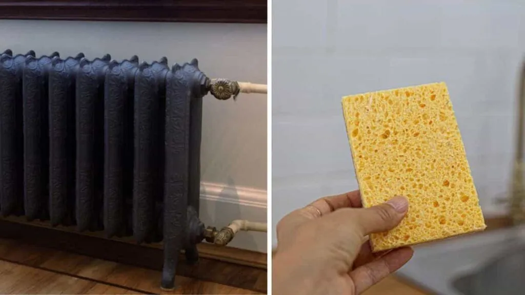 Därför ska du lägga en fuktig svamp på elementet i vinter